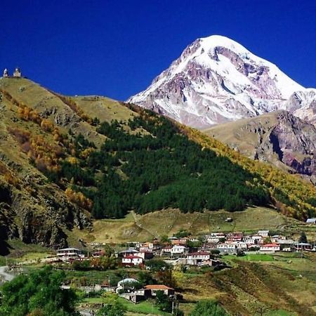 Tamila Guest House Kazbegi Esterno foto