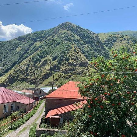 Tamila Guest House Kazbegi Esterno foto