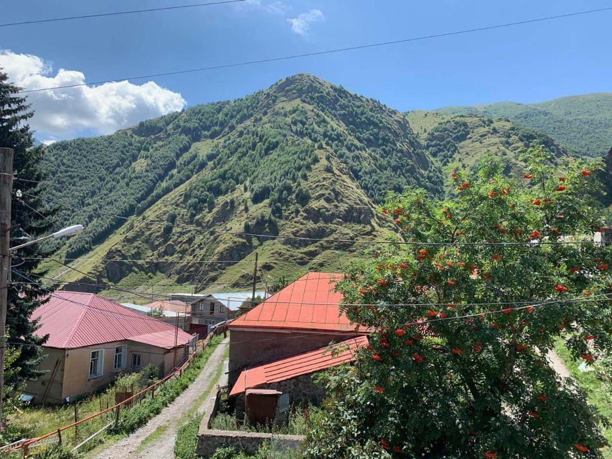 Tamila Guest House Kazbegi Esterno foto